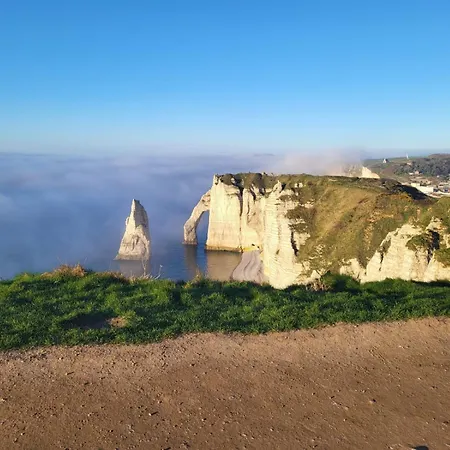 80 M De La Plein Centre,parking Prive * Etretat